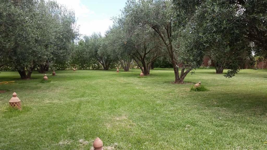 Riad Sidi Hicham Ouled Bouzid Luaran gambar