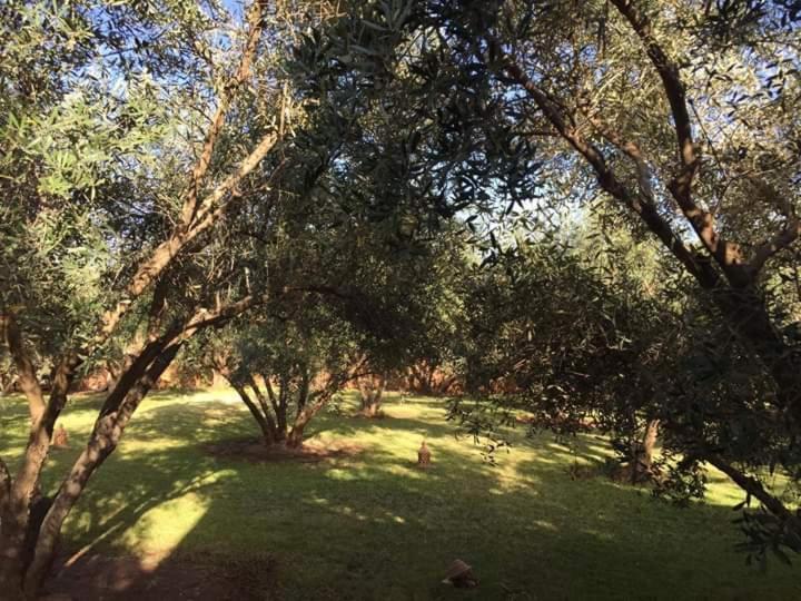 Riad Sidi Hicham Ouled Bouzid Luaran gambar